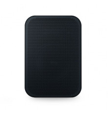 Умная колонка Bluesound PULSE FLEX 2i