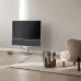 OLED-телевизор Bang & Olufsen BeoVision Countour 48