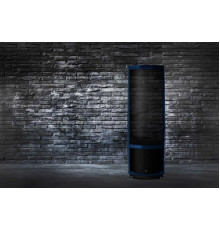 Акустическая система Martin Logan Neolith